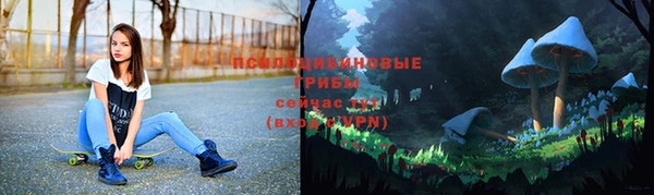 гидра Рославль