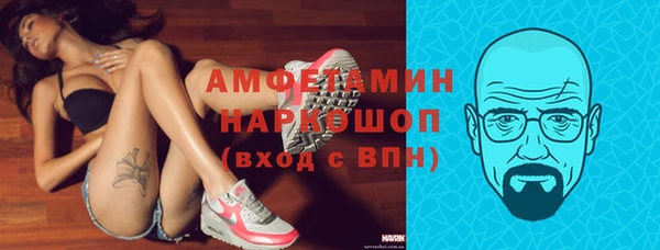 гидра Рославль