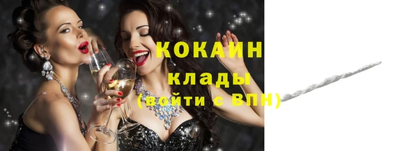 гидра Рославль