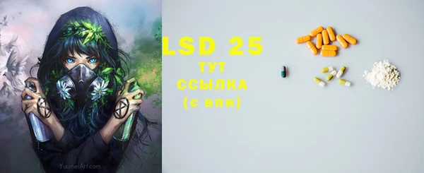 гидра Рославль