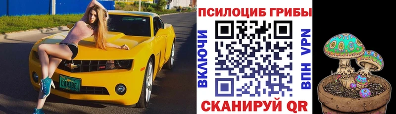 Купить Старый Крым Галлюциногенные грибы мухоморы